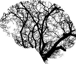 Tree branches shaped as a brain. 