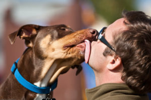 Dog licking man's face.