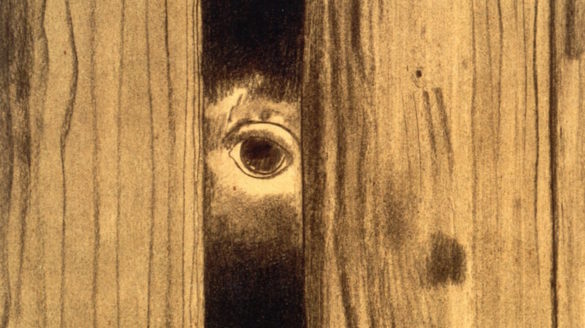Eye peaking through wood floor.