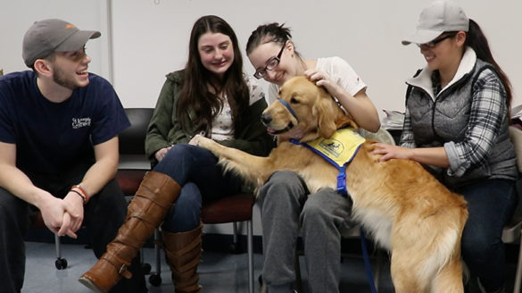 SJC Long Island students playing with a dog during finals week.