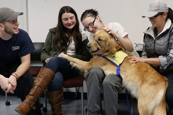 SJC Long Island students playing with a dog during finals week.