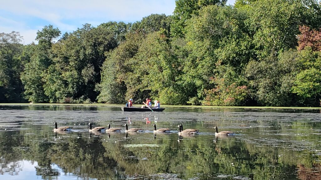 Volunteers on the Patchogue Lake cleaning garbage out of the water during the fourth annual Patchogue River Clean Up.