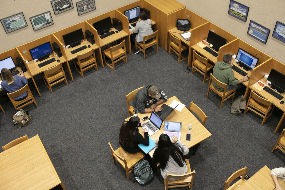 The computer area on the lower level of the library.