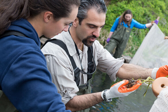 Konstantine Rountos, Ph.D., studying marine life in Patchogue Lake with SJC Long Island students.