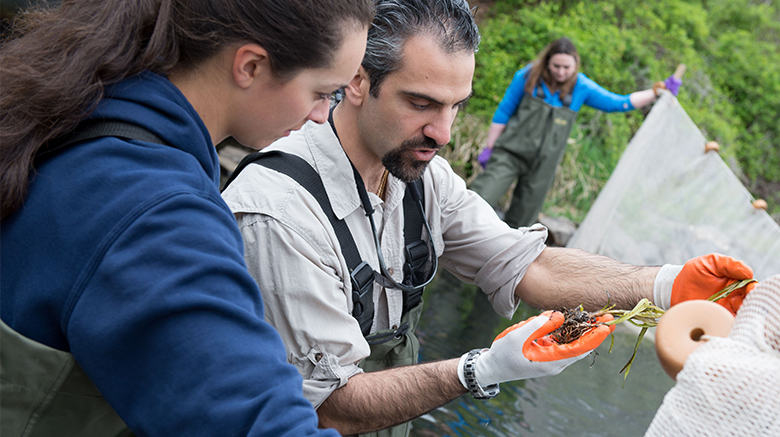 Konstantine Rountos, Ph.D., studying marine life in Patchogue Lake with SJC Long Island students.
