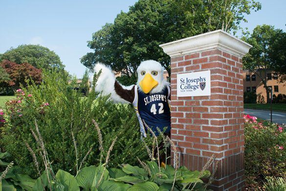 SJC Long Island mascot Hot Wyngz welcoming accepted students for Admitted Student Day.