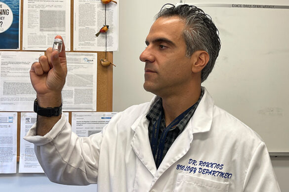 Konstantine Rountos, Ph.D., looking at microplastics.
