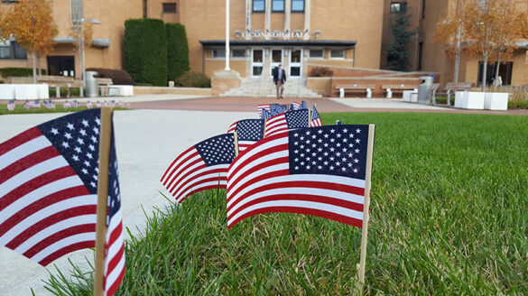 Flags on campus for Veterans Day, 2017.