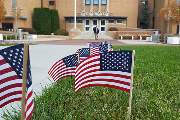 Flags on campus for Veterans Day, 2017.