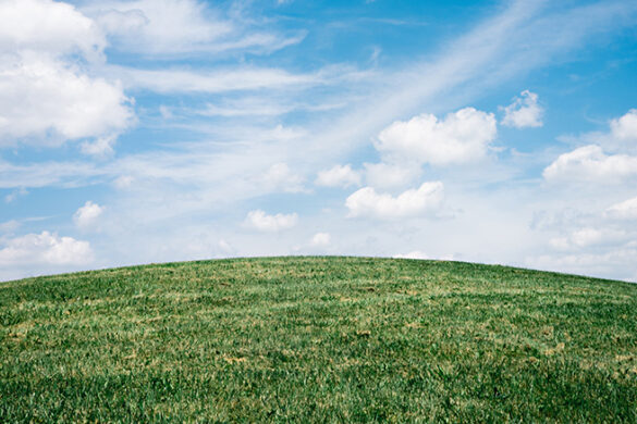 A picture of the outdoors in honor of Earth Day.