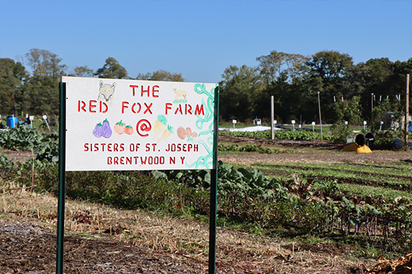 The Red Fox Farm.