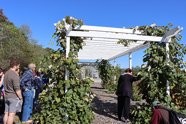 Visitors learning about the grape vines.