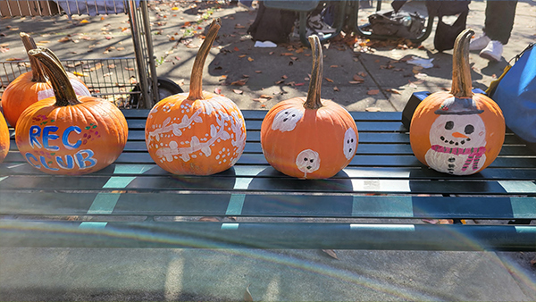 Painted pumpkins at the Fall Fest Carnival.