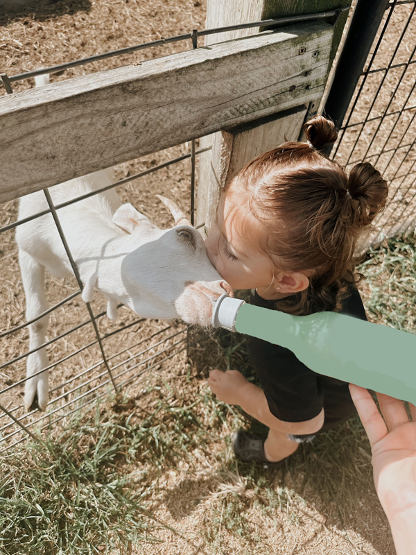 Rhodes and Raelyn feeding one of the goats that provides milk for the Bubblegoat products.