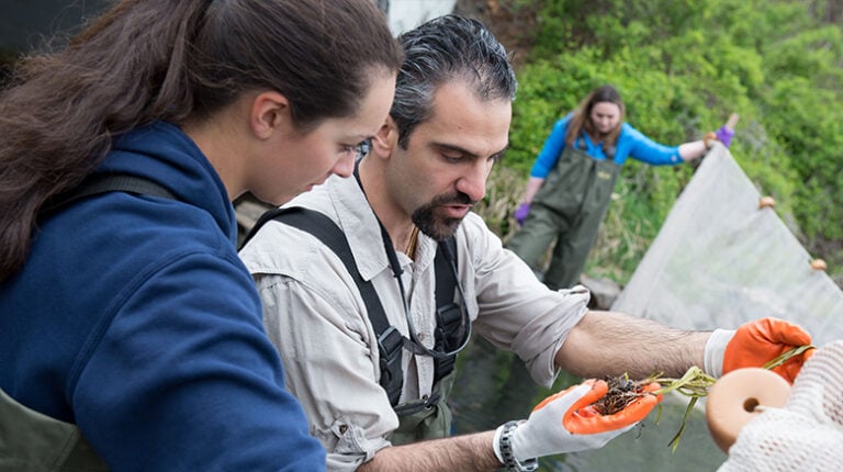 A Passion for Marine Ecology - On Campus - St. Joseph's University, New ...