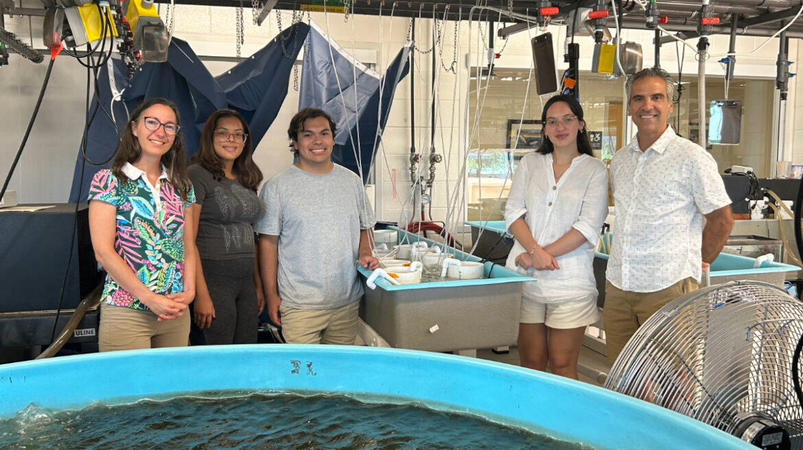 Biology majors and faculty working on research at Stony Brook University's Southampton lab.