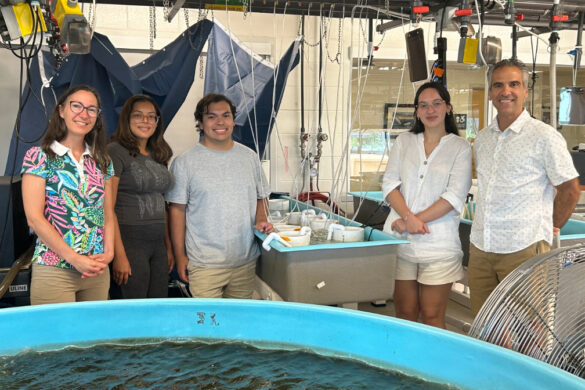 Biology majors and faculty working on research at Stony Brook University's Southampton lab.