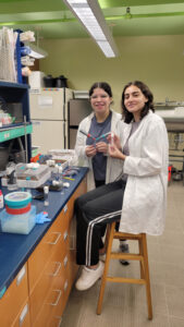 Bio students research how prenatal stress impacts behavior in fruit flies.