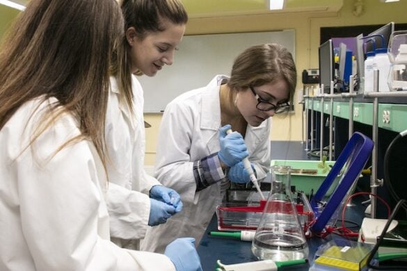 SJNY Expands Hands-On Research Opportunities with BIO 199 and BIO 399