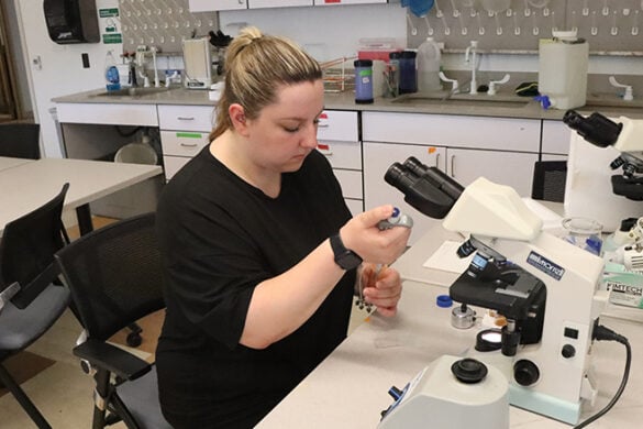 Meet SURF 2025 Recipient, Alison Monaco ’26