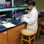 Meet SURF 2025 Recipient, Olivia Lieto ’27 Thumbnail