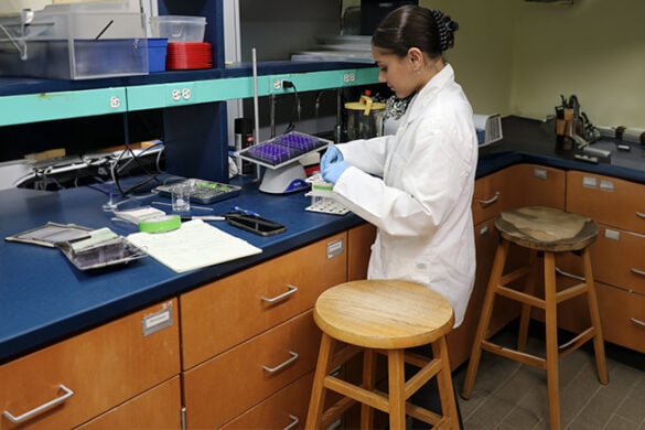 Meet SURF 2025 Recipient, Olivia Lieto ’27