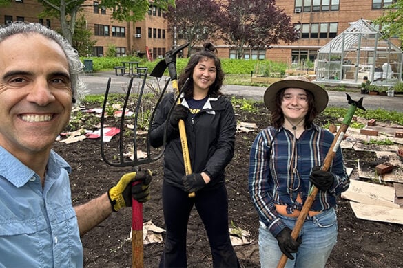 Sustainability Through Student Research in the Shea Garden